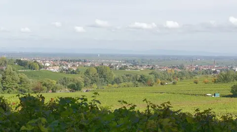 Wohnmobilstellplatz Brennerei & Weinstube Göring - Edenkoben