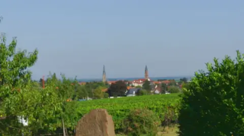 Wohnmobilstellplatz Brennerei & Weinstube Göring - Edenkoben