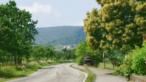 Wohnmobilstellplatz Brennerei & Weinstube Göring - Edenkoben