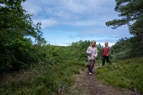 Lyngholt Familiecamping