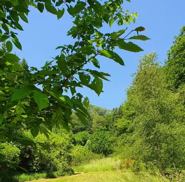 Camping Drei Spatzen