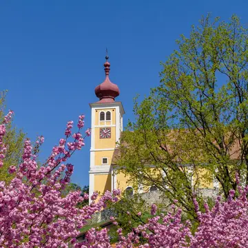 Campingplatz Sonnenwaldbad