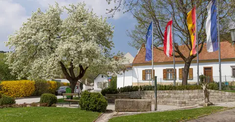 Campingplatz Sonnenwaldbad