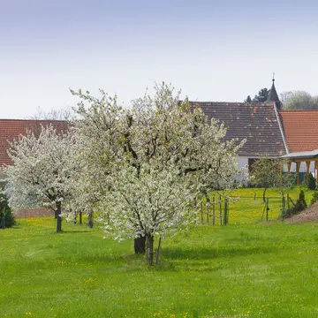 Campingplatz Sonnenwaldbad