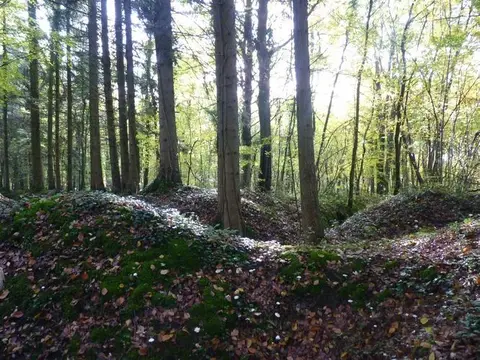 Camping d'Heudicourt