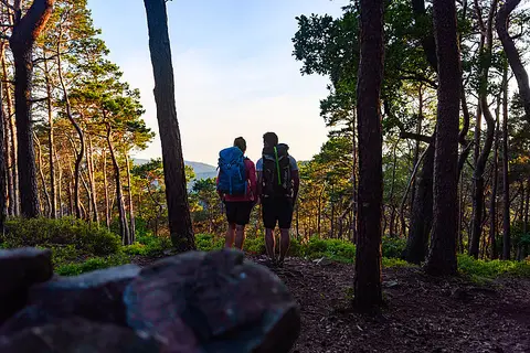 Trekking Pfalz: Kalmit