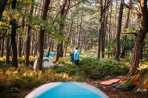 Trekking Pfalz: Kalmit
