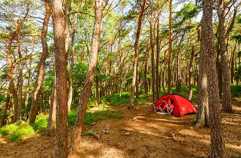 Trekking Pfalz: Kalmit