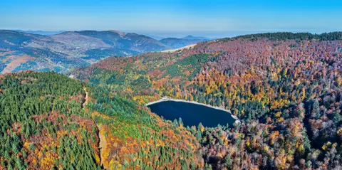 Huttopia Forêt des Vosges