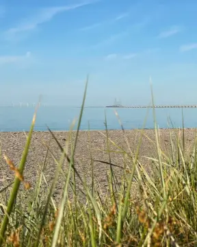 Nyborg Strandcamping
