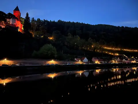 MYCN Zwingenberg