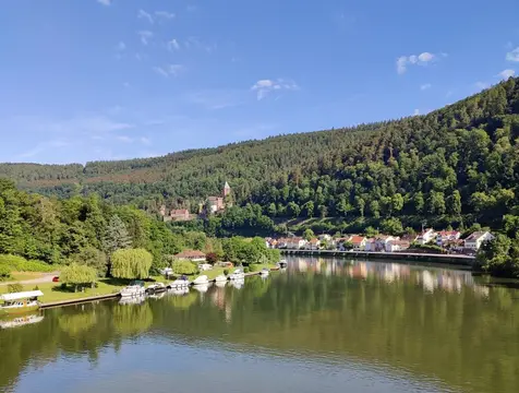 MYCN Zwingenberg