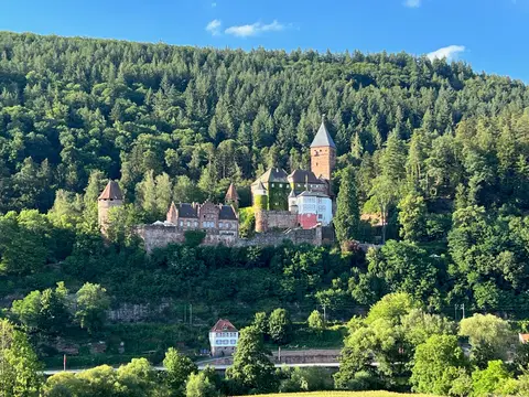 MYCN Zwingenberg
