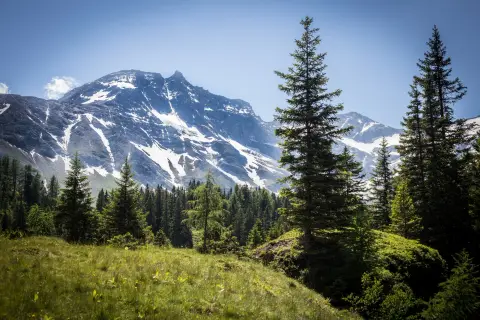 Nationalpark Camping Andrelwirt