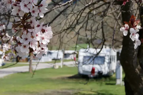 Nationalpark Camping Andrelwirt