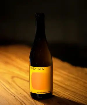 Wohnmobilstellplatz Weingut Stefan Meyer