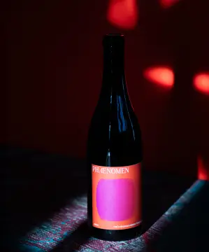 Wohnmobilstellplatz Weingut Stefan Meyer
