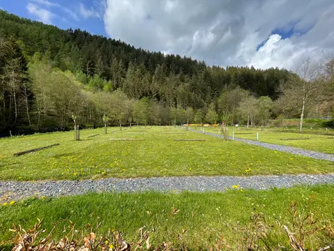Ardenne Camping