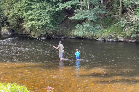 Ardenne Camping