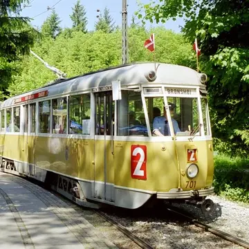Skovly Camping