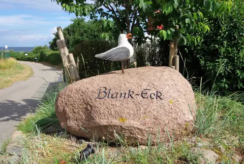 Blank-Eck