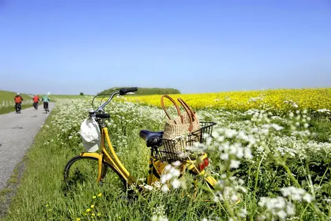 Wohnmobilstellplatz an der Nordseestraße