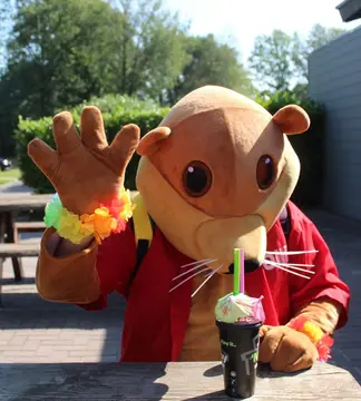 Camping Otterberg