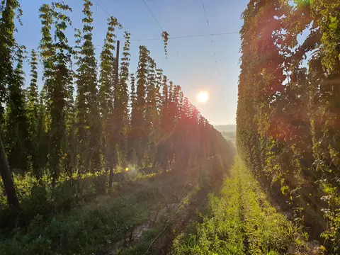 HopfenErlebnisHof