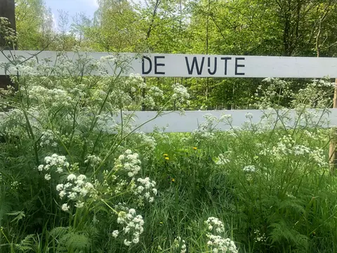 De Wijte