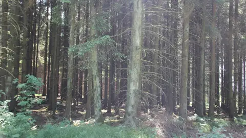 Zeltlagerplatz Rötenbach