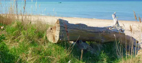 Campingplatz Liebeslaube