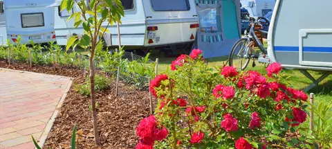 Campingplatz Liebeslaube