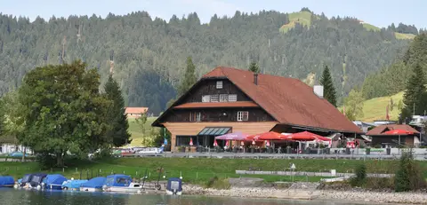 Grüene Aff