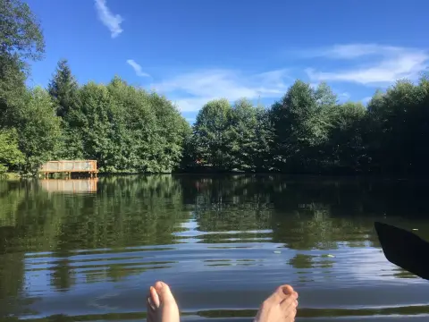 Au Mica
