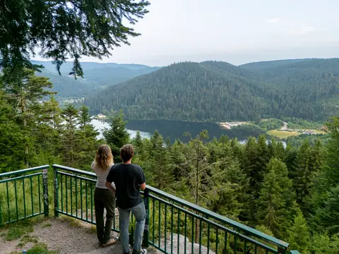 Domaine des Bans