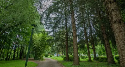 Camping de Besançon