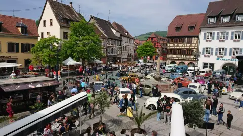 Camping Municipal de Molsheim