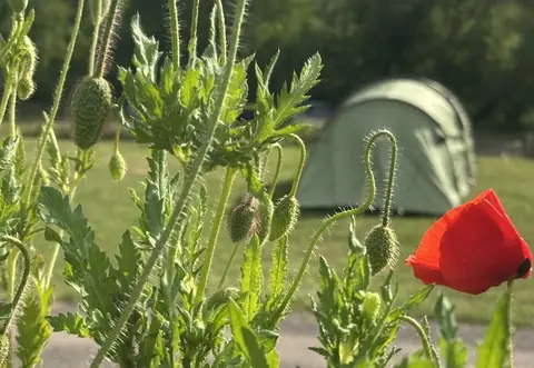 Camping Gross-Eichen