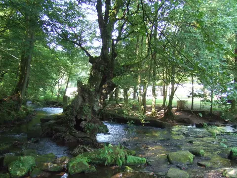 Odenwald Campingpark