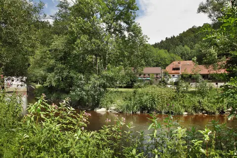 Campingplatz Schrottenbaummühle
