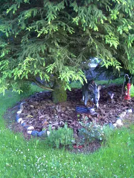 Campingplatz Steigerwald Aurachtal