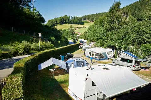 Schwarzwald-Camping Alisehof