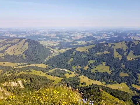 Hochgratblick