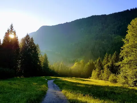 Hochgratblick