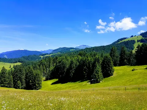 Hochgratblick
