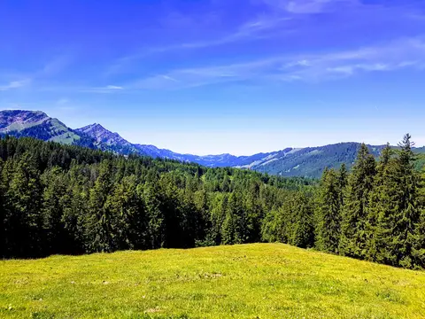 Hochgratblick