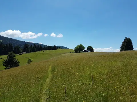 Hochgratblick