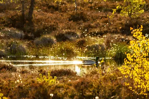 Camping Hochrhön