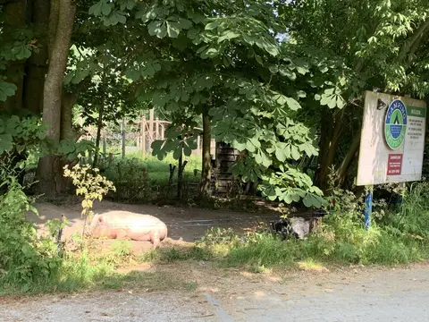 Camping Reitdiep