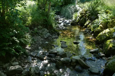 Camping du Schlossberg